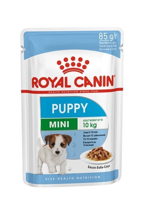 Konserv noortele kutsikatele Royal Canin, 12x85 g hind ja info | Konservid koertele | kaup24.ee