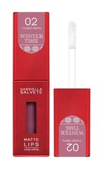 Губная помада Gabriella Salvete Winter Time Matte Lips 02 Frozen Berry, 4,5 мл   цена и информация | Помады, бальзамы, блеск для губ | kaup24.ee