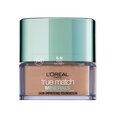 Jumestuspuuder mineraalidega L'oréal Paris True Match Minerals, 10 g, Honey