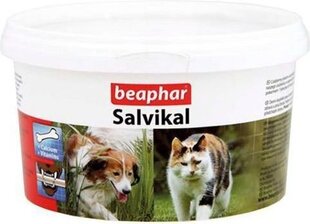 Mineraal- ja vitamiinipreparaat koertele Beaphar, 250 g hind ja info | Toidulisandid ja parasiitide vastased tooted | kaup24.ee