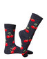 Naiste sokid Happy Socks hind ja info | Naiste sokid | kaup24.ee