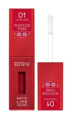 Huulepulk Gabriella Salvete Winter Time Matte Lips 01 Candy Cane, 4,5 ml hind ja info | Huulepulgad, -läiked, -palsamid, vaseliin | kaup24.ee