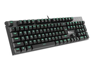 Genesis Thor 300, Gaming keyboard, US цена и информация | Клавиатуры | kaup24.ee