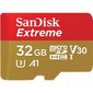 Mälukaart seikluskaamerale SANDISK Secure Digital micro Extreme Action Camera 32GB 100MB/s A1/Class 10 /V30/UHS-I/U3 hind ja info | Mobiiltelefonide mälukaardid | kaup24.ee