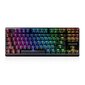 Modecom LanParty RGB Outemu Brown hind ja info | Klaviatuurid | kaup24.ee