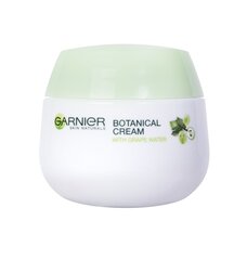 Garnier skin naturals moisturizing grape cream  garnier цена и информация | Garnier Защитные, дезинфицирующие средства, медицинские товары | kaup24.ee