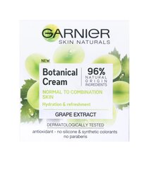 Viinamarjaekstraktiga niisutav näokreem Garnier Skin Naturals 50 ml цена и информация | Кремы для лица | kaup24.ee