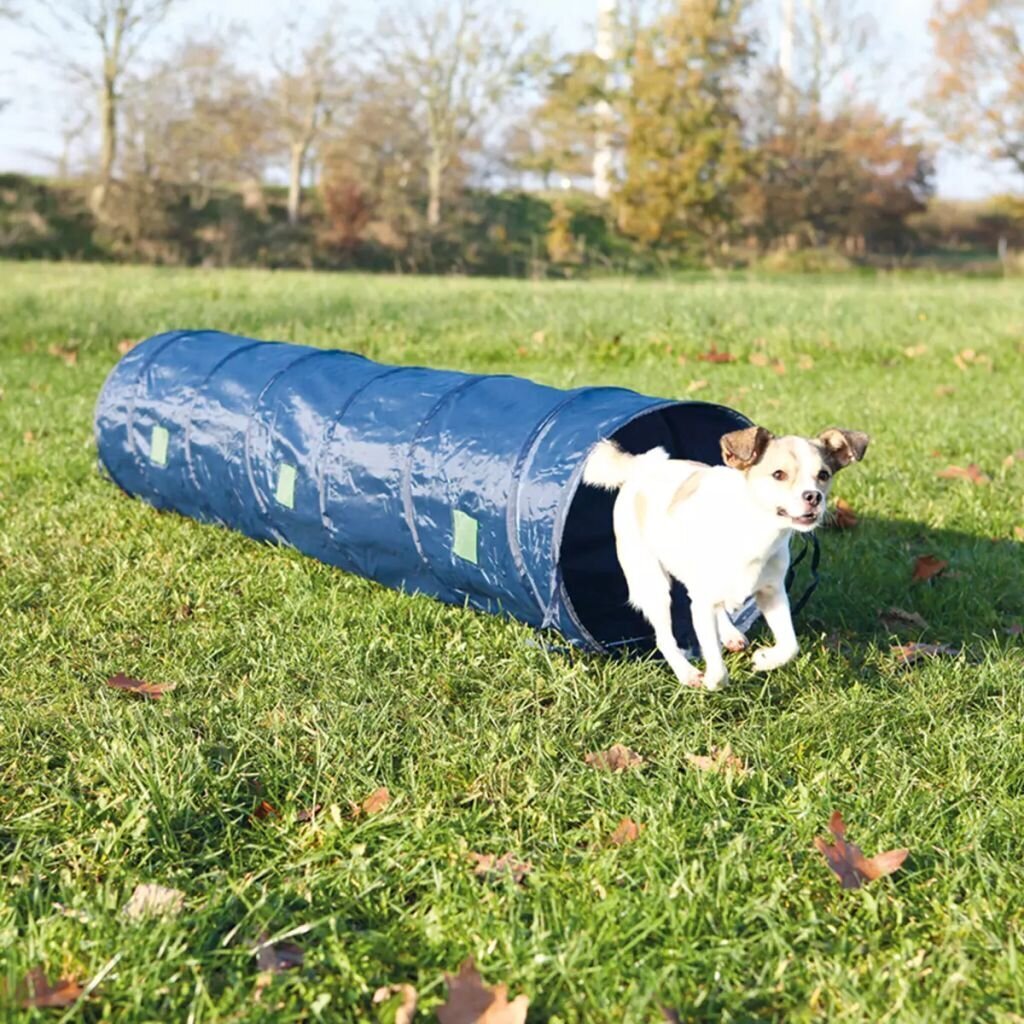 Tunnel Trixie Agility hind ja info | Dresseerimise vahendid koertele | kaup24.ee