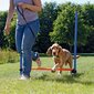 Barjäär Trixie Agility цена и информация | Dresseerimise vahendid koertele | kaup24.ee