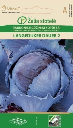 Punane kapsas Langedijker dauer 2 hind ja info | Köögivilja-, marjaseemned | kaup24.ee