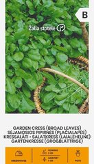 Laialeheline kress-salat hind ja info | Köögivilja-, marjaseemned | kaup24.ee