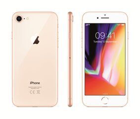 Apple iPhone 8 64ГБ, Золотого цвета цена и информация | Мобильные телефоны | kaup24.ee