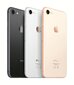 Nutitelefon Apple iPhone 8 256GB, MQ7E2ET/A hind ja info | Telefonid | kaup24.ee