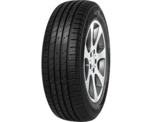 Minerva ECOSPEED2 SUV 235/55R19 105 W XL цена и информация | Летняя резина | kaup24.ee