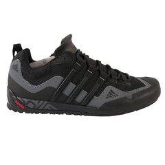 Спортивная обувь мужская Adidas TERREX SWIFT SOLO D67031 цена и информация | Кроссовки для мужчин | kaup24.ee