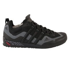 Meeste spordijalatsid Adidas TERREX SWIFT SOLO D67031 hind ja info | Spordi- ja vabaajajalatsid meestele | kaup24.ee