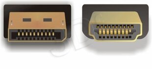 Delock, DP/HDMI, 3 м цена и информация | Кабели и провода | kaup24.ee