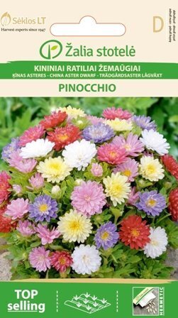 Hiina aster Pinocchio hind ja info | Lilleseemned | kaup24.ee