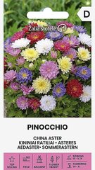 Hiina aster Pinocchio цена и информация | Семена цветов | kaup24.ee