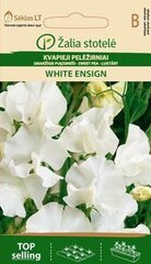 Душистый горошек White ensign цена и информация | Зайцехвост яйцевидный | kaup24.ee