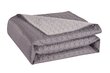 Kahepoolne voodikate Salice Steel Silver, 260x280 cm hind ja info | Voodikatted, pleedid | kaup24.ee