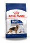 Koeratoit Royal Canin Maxi Adult 4 kg hind ja info | Kuivtoit koertele | kaup24.ee