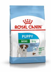 Royal Canin mazo šķirņu kucēniem Mini Junior, 2 kg hind ja info | Kuivtoit koertele | kaup24.ee