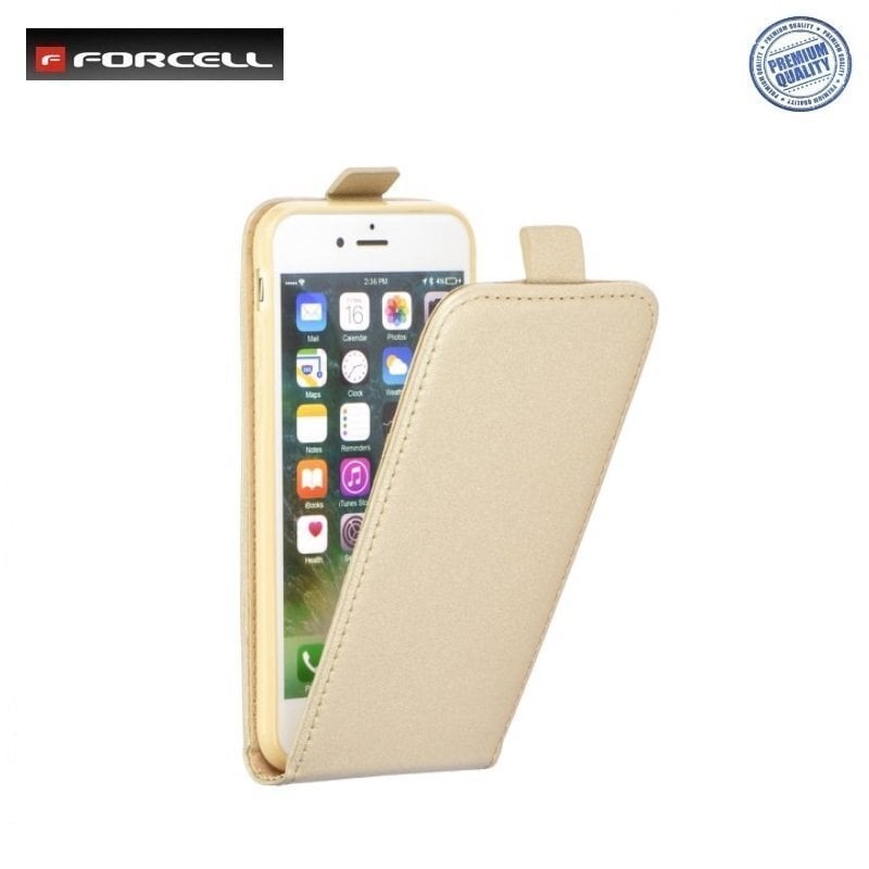 Forcell Flexi Slim Flip Apple iPhone X / iPhone 10 / iPhone XS vertical case in silicone holder Gold цена и информация | Telefoni kaaned, ümbrised | kaup24.ee