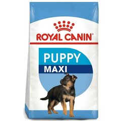 Koeratoit Royal Canin Maxi Junior 15 kg цена и информация | Сухой корм для собак | kaup24.ee