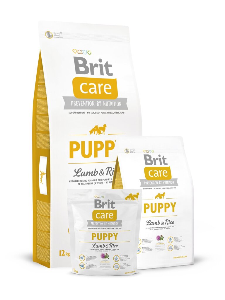 Brit Care Puppy Lamb & Rice koeratoit 12 kg цена и информация | Kuivtoit koertele | kaup24.ee