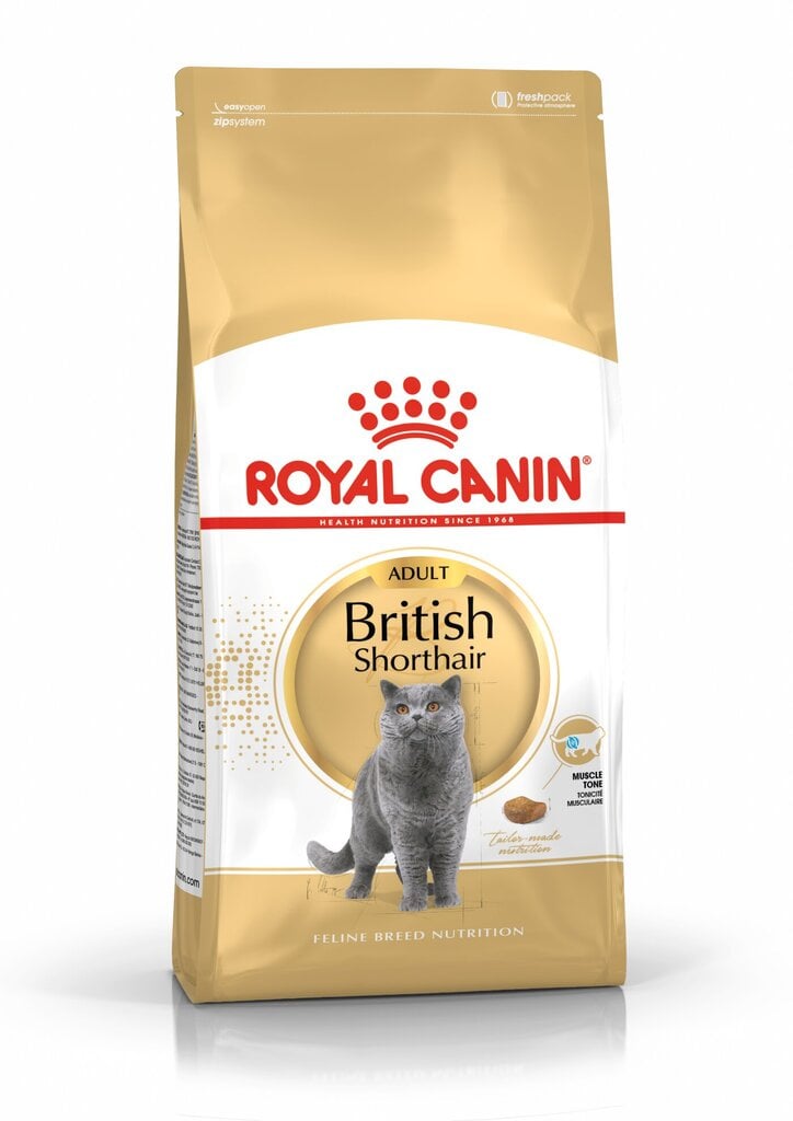 Kassitoit Royal Canin British shorthair 10 kg цена и информация | Kuivtoit kassidele | kaup24.ee