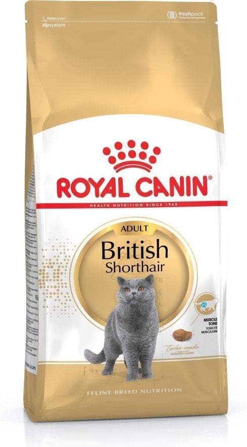 Kassitoit Royal Canin British shorthair 4 kg цена и информация | Kuivtoit kassidele | kaup24.ee