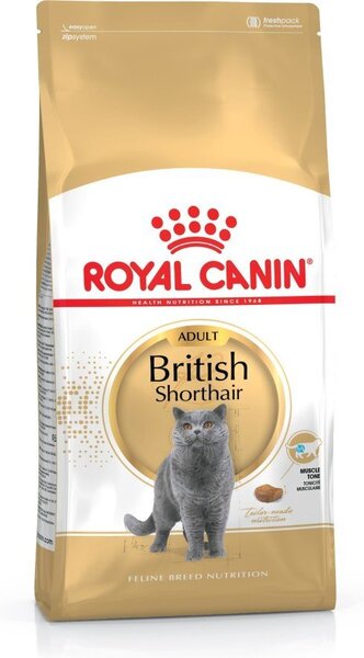 Kassitoit Royal Canin British shorthair 4 kg hind | kaup24.ee