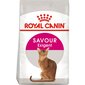 Kassitoit Royal Canin Exigent Savour Sensation 10 kg hind ja info | Kuivtoit kassidele | kaup24.ee