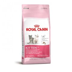  Сухой корм Royal Canin Kitten для котят, 4 кг цена и информация | Сухой корм для кошек | kaup24.ee