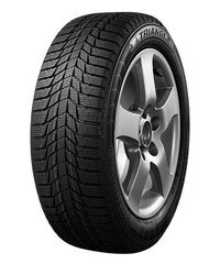 Triangle PL01 245/45R18 100 R цена и информация | Зимняя резина | kaup24.ee