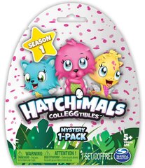 Kollektsioon munad Hatchimals 6034128 цена и информация | Игрушки для девочек | kaup24.ee