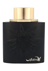 Tualettvesi Salvador Dali Le Roy Soleil Extreme for Men EDT meestele 100 ml hind ja info | Meeste parfüümid | kaup24.ee