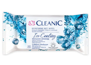 Влажные салфетки Cleanic Ice Cooling, 15 шт. цена и информация | Ватная продукция, влажные салфетки | kaup24.ee