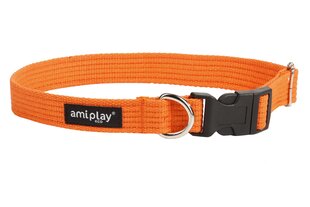 Хлопковый ошейник Amiplay, S, оранжевый цена и информация | Ошейники, подтяжки для собак | kaup24.ee