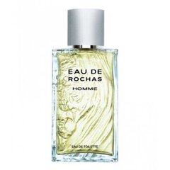 Rochas Eau De Rochas Homme EDT meestele 100 ml hind ja info | Meeste parfüümid | kaup24.ee