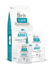 Koeratoit Brit Care Salmon All Breed - Salmon & Potato 1 kg hind ja info | Kuivtoit koertele | kaup24.ee