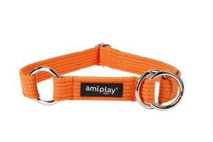 Ошейник Amiplay, M, оранжевый цена и информация | Ошейники, подтяжки для собак | kaup24.ee