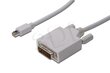 ASSMANN - Kabel DisplayPort 1.1a mini DP-DVI TypA MM 2.0m hind ja info | USB jagajad, adapterid | kaup24.ee