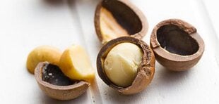 Восстанавливающее масло для волос Macadamia Healing Oil Treatment, 125 мл цена и информация | Macadamia Духи, косметика | kaup24.ee