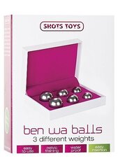 Вагинальные шарики Ben Wa, комплект цена и информация | Вагинальные шарики | kaup24.ee