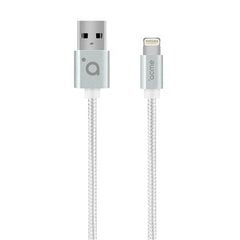 Acme CB2031S Lightning, USB A, 1 m, Silv цена и информация | Кабели для телефонов | kaup24.ee