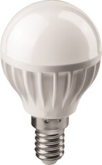 Лампочка ACME LED Mini Globe 6W2700K15h470lmE14 цена и информация | Лампочки | kaup24.ee