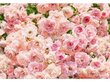 Fototapeet Rosa цена и информация | Fototapeedid | kaup24.ee