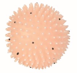 Trixie флуоресцентный мяч ежик цена и информация | Игрушки для собак | kaup24.ee
